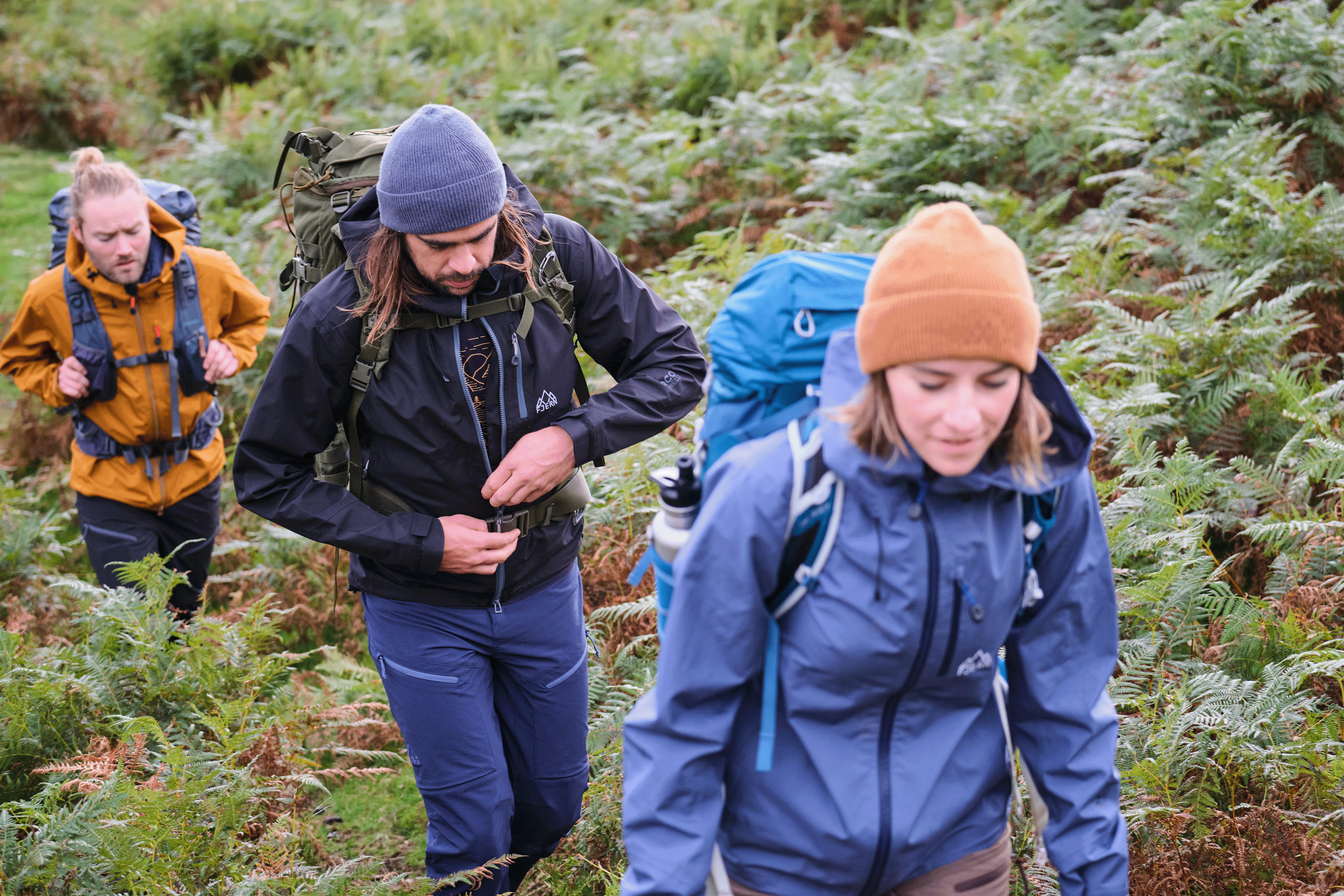 Hiking through thick, green bracken