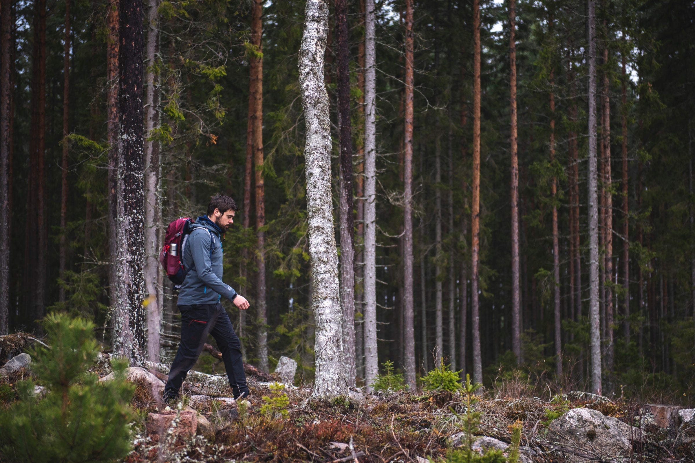 Man hiking in forest wearing Fjern softshell jacket and backpack
