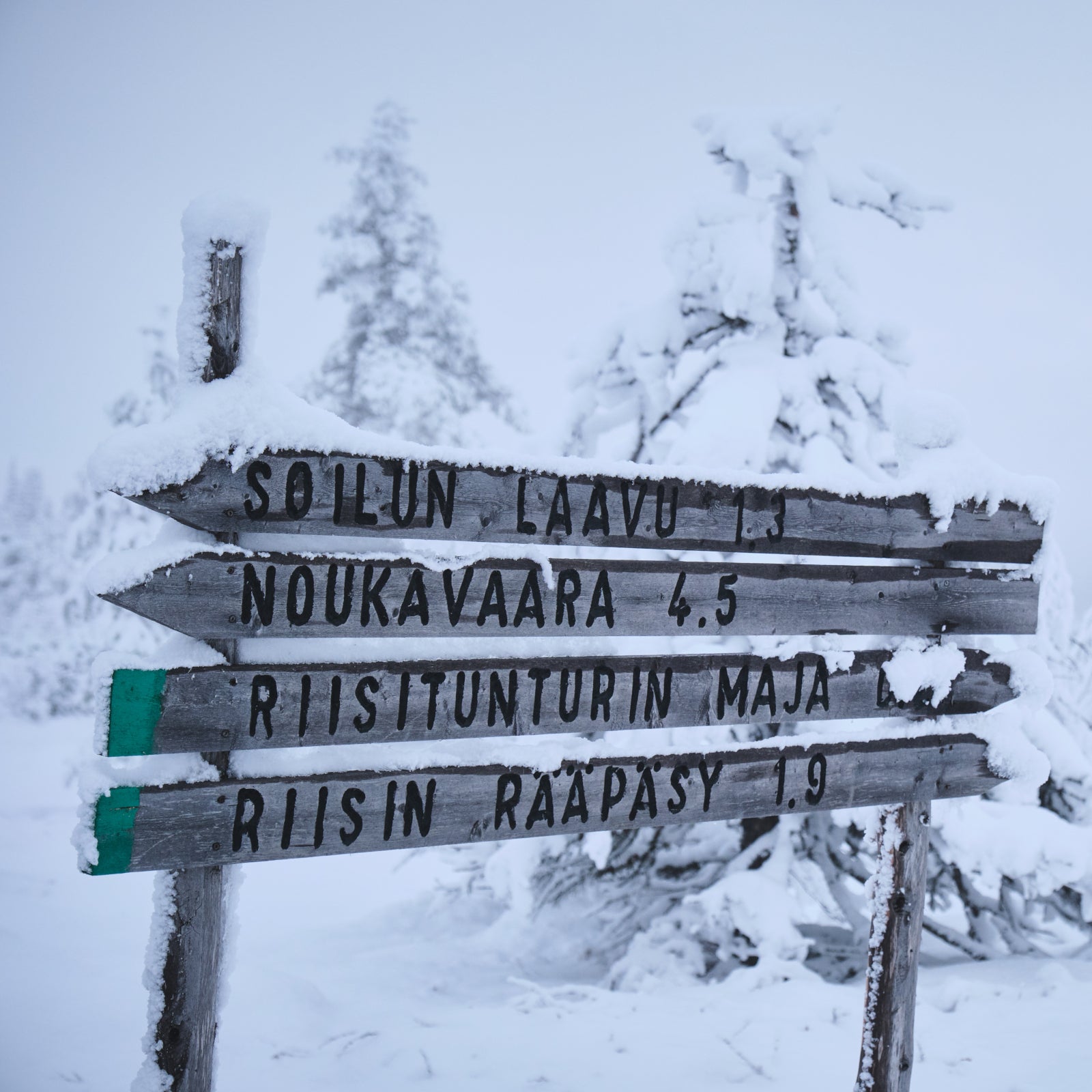 Directional sign covered in snow in a forest in Finland