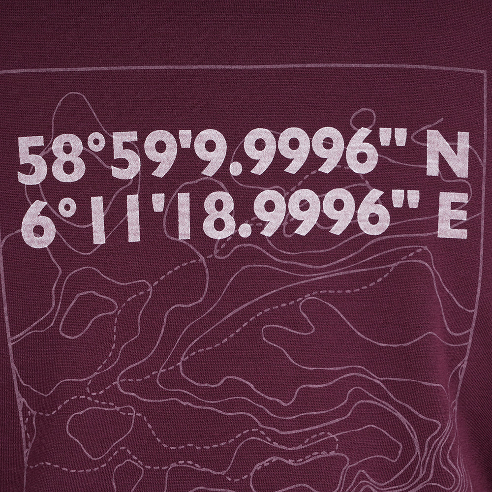 Womens Preikestolen Merino Blend T-Shirt (Aubergine/Chalk)