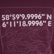 Womens Preikestolen Merino Blend T-Shirt (Aubergine/Chalk)