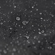 Womens Vernd 3L Waterproof Trousers (Black)