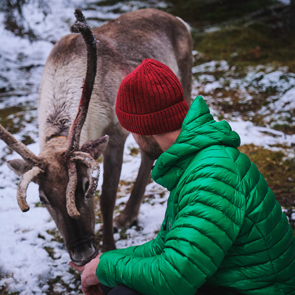 Pine) | Venture further with the Aktiv, a versatile and lightweight insulated layer that offers exceptional warmth in a compact package